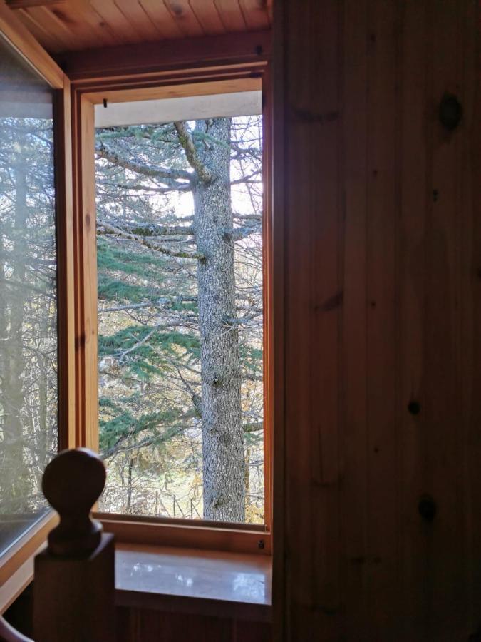 Appartamento La Casa Di Fantalegno Camigliatello Silano Esterno foto